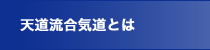 天道流合気道について